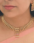 Rajwadi Festive necklace set